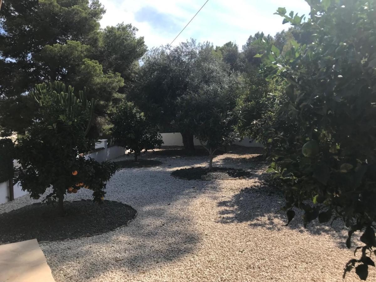 דירות בניסה Limon מראה חיצוני תמונה